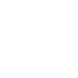 logo videss smart